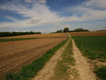 Feldflur bei Alsdorf-Neuweiler (Foto: Wolfgang Voigt)