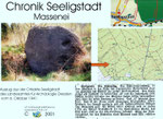Steine Massenei Frömmel Seeligstadt