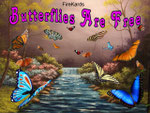 Butterflies Are Free - Computer Album 4 - 12 Songs