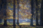 Tiergarten Hannover #2