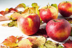 Äpfel