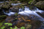 Braunlage - Warme Bode #4