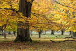 Tiergarten Hannover #1