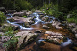 Braunlage - Warme Bode #9