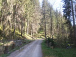 Waldweg bei Altensteig