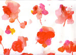 "花シリーズ”　acrylic,watercolor,oil pastel,pencil  23.5×34cm　2007