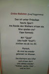 Froschgedicht