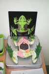 mein Sezierfrosch
