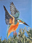 Eisvogel, Acryl-Mischtechnik, 40x30, 2024