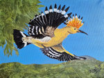 Wiedehopf, Acryl-Mischtechnik, 30x40, 2024 
