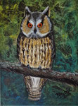 Waldohreule, Acryl-Mischtechnik, 40x30, 2024