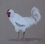 "Poule blanche" - acrylique - 30 x 30 cm 