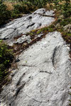 Civitaluparella, forse orme fossili sulla falesia