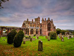 Melrose Abbey 