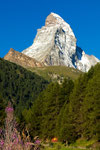 Matterhorn  oberhalb von Zermatt