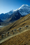 Blick ins Langtang Tal