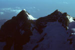 Wetterhorn 3701 m und  Mittelhorn 3704 m - Tele -