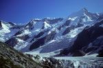 Gross Fiescherhorn 4049 m über dem  Oberen Eismeer