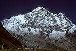 Annapurna I  8091 m - Südwand -