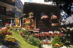 Zermatt; Hütte im Blumenmeer.