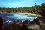 Traumstrand Palm Paradise in Tangalle