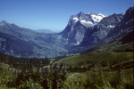 Wetterhorn 3701 m und Grindelwald im Tal