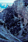 Bright Angel Trail im Abstieg I