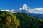 Machapuchare 6997 m - Fischschwanz - von Pokhara 900 m