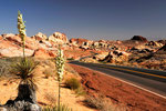 Valley of Fire