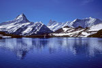 Schreckhorn 4078 m und Finsteraarhorn 4274 m mit Bachalpsee