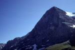 Eiger 3970 m Nordwand