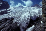 Glacier Blanc von der Refuge Glacier Blanc  2550 m,