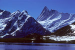 Bachalpsee mit Finsteraarhorn  4273m