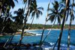 Traumstrand Palm Paradise Tangalle