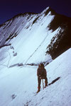 Barre des Écrins 4102 m mit  Aufstiegsspur in der Nordflanke mit  Seilschaften