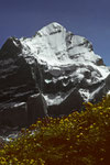 Wetterhorn  3701m -Tele -