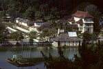 Kandy, die schönste Königsstadt mit See und Zahntempel