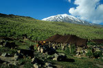 Nomadenlager und Ararat