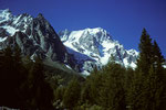 Grandes Jorasses Südwand vom ital. Val Ferret aus