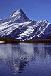 Schreckhorn 4078 m über  Bachalpsee - Tele -