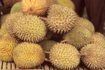 Durian - Früchte, eine tropische Köstlichkeit; aber nicht für jeden Touristen.