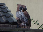 Hier Wache ICH! die EULE!!!!!