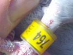 02644-09-764 V.