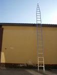 Agricultural Leaning Ladder