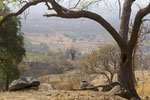 Baobab in der Landschaft im Südosten des Senegal