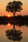 Sonnenuntergang Khwai/ Moremi
