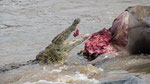 Restebeseitigung im Mara River
