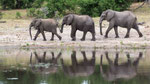 Unterwegs am Chobe