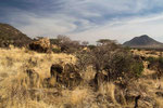 I like the Samburu/ Kenia 2012