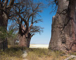 Nxai Pan National Park/ Botswana